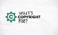 What's copyright for? 